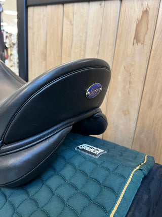 Rivello Elice Dressage Pony