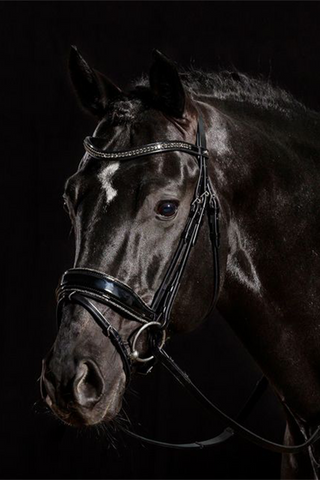 Stanford Glam Bridle Black