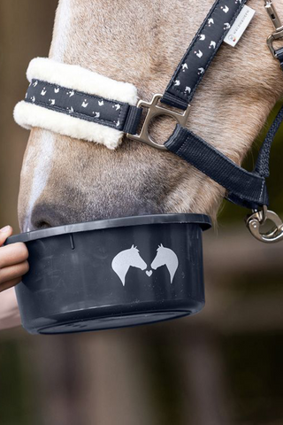 Treat Bowl Lucky with lid 2L