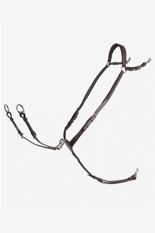 Fazzino collier de chasse avec martingale
