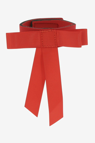 Tail Bow with Velcro