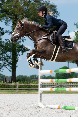 Ontario allround singel bruin