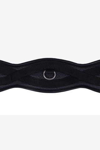 Basic Pro dressurgjord sort