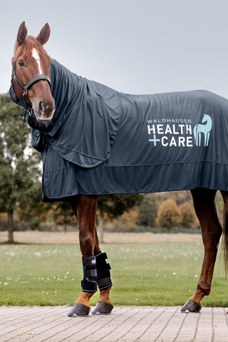 Health + Care Ice Bescherming