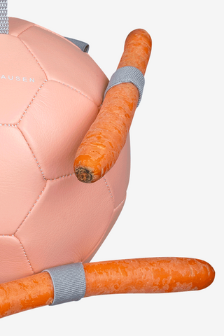 Toy Carrot Ball