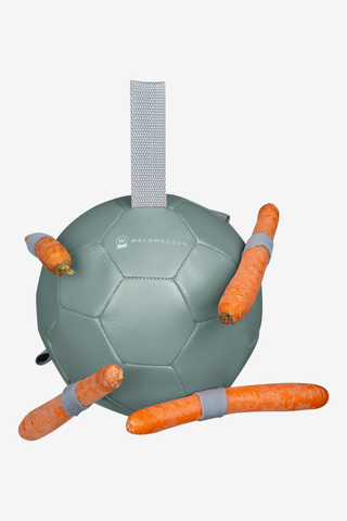 Toy Carrot Ball