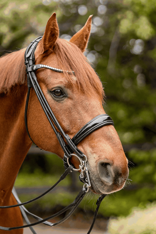 Turnado Bridong 2-Delat 14mm