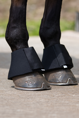 Neopren Hufglocken Schwarz