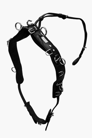 Sangle de travail à la longe