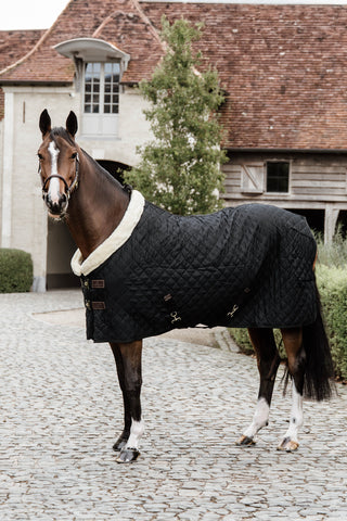 Show dækken 160g Sort