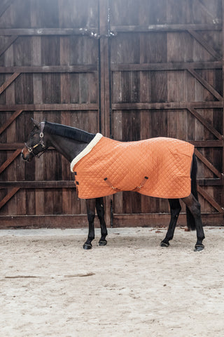 Show dækken 160g Autumn Orange