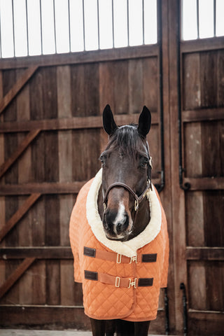 Show dækken 160g Autumn Orange