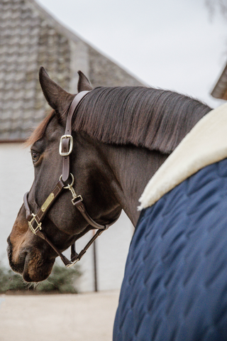 Stable Rug Comfort 100g Navy
