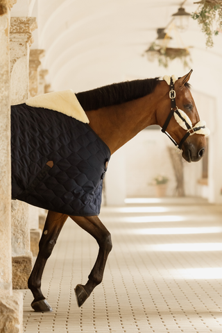 Stable Rug Comfort 100g Navy