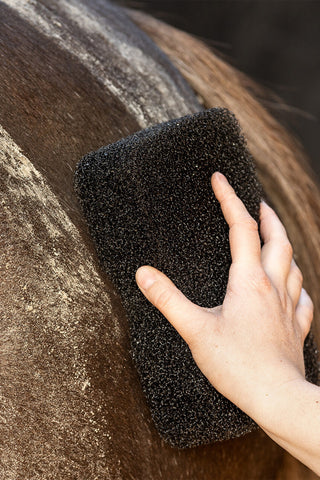 Super Shine Sponge Black