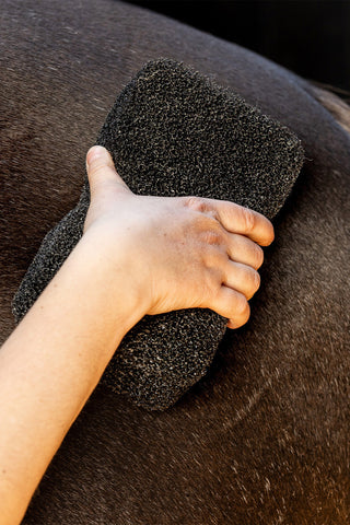 Super Shine Sponge Black