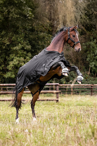 Buitendeken Scandic 100g Zwart