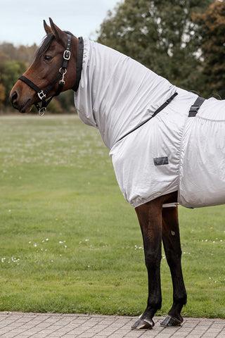 Basic Eksemtäcke Silver