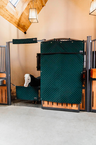 Stable Guard Green