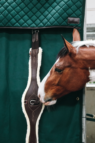 Waterproof Stable Curtain Green