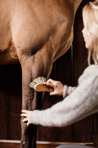 Brosse Dure Courbée