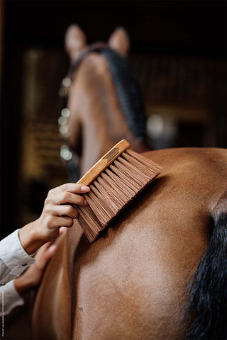 Brosse Courbée Moyenne