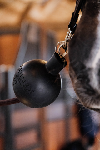 Boll Anbindeschutz Schwarz