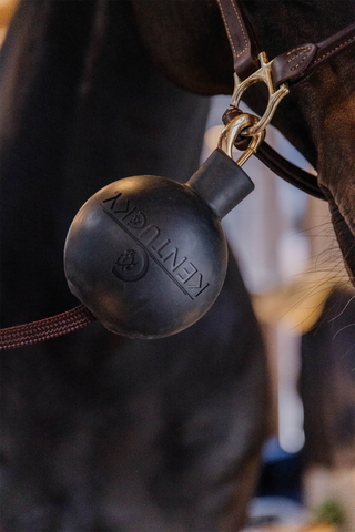 Boll Anbindeschutz Schwarz