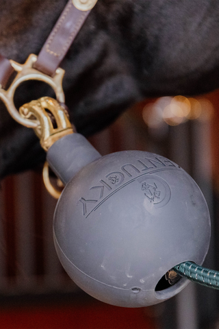 Boll Anbindeschutz Grau