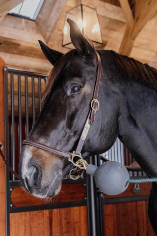 Boll Anbindeschutz Grau