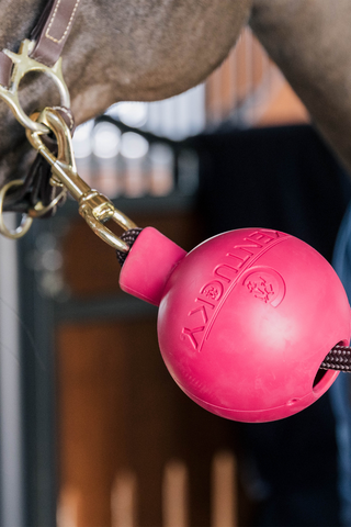 Boll Anbindeschutz Rosa