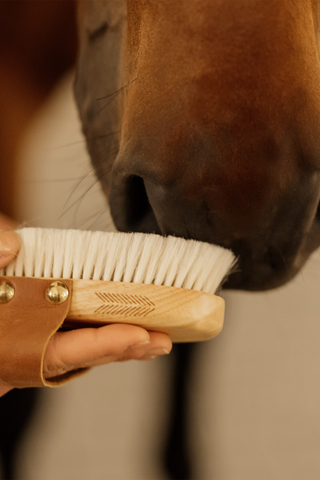 Universalbørste Blød Lille Brun