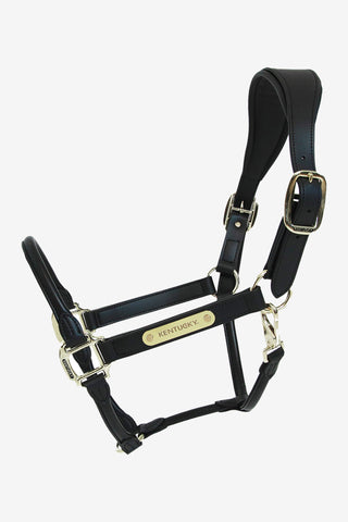 Anatomisch Lederen Halster Zwart