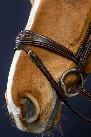Anatomisch breed neusriem Dyon Collection Bruin