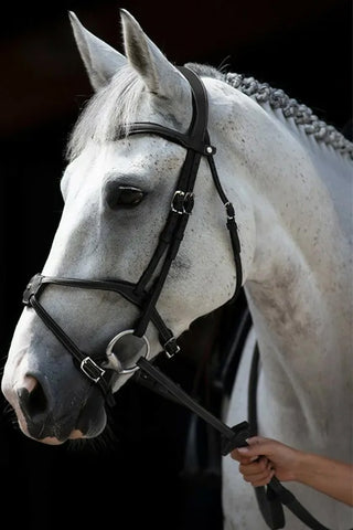 Origin Hoofdstel Fig 8 Zwart