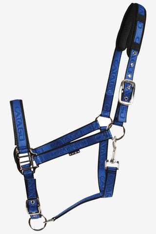 Licol Bleu/Noir