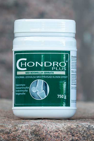 ChondroPlus 705g
