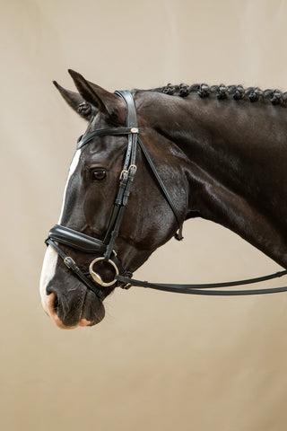 Dressuurhoofdstel Working Collection Zwart