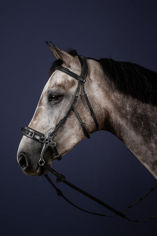 Hackamore Headpiece New English Black