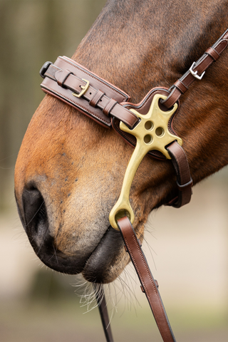Trust Hackamore Marron/Laiton