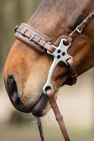 Trust Hackamore Marron/Argent