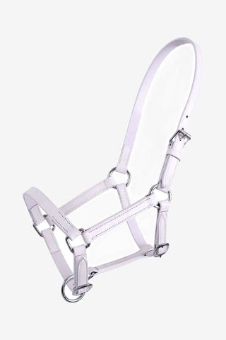 Foal Halter Chico Leather