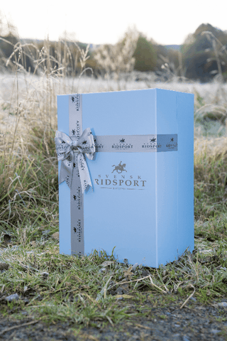Adventskalender Box 2025