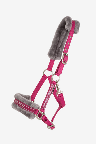 Licol avec fourrure cerise/gris Mini Shetland