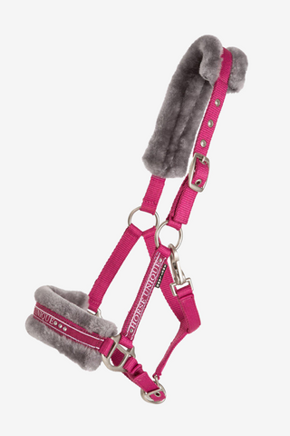 Licol avec fourrure Cerise/Gris Shetland