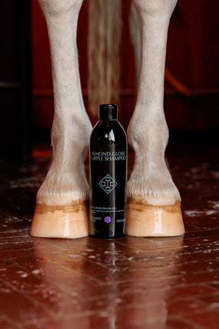 Almond Gloss Purple Schampo 500ml