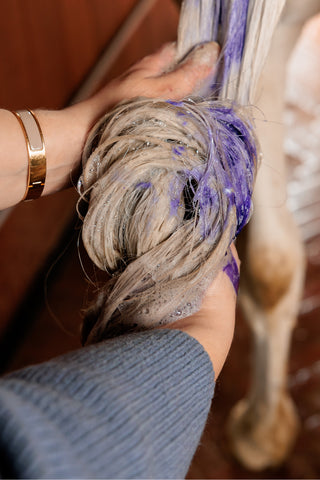 Almond Gloss Purple Schampo 500ml