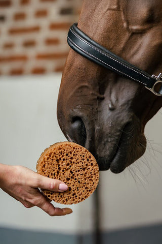 Round Grooming Sponge