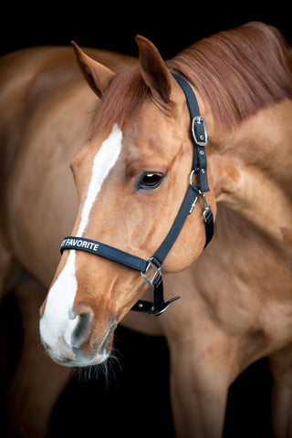 Malva Halter
