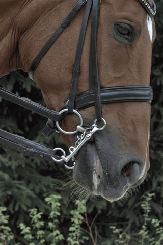 HO Mors de bride 12mm 7cm